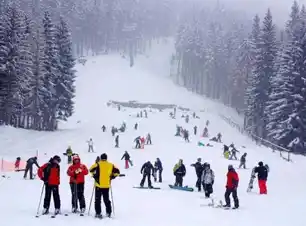 Manali Snow Adventure Tour