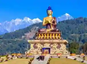 North East India Explorer